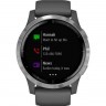 Умные часы GARMIN VIVOACTIVE 4 SHADOW GRAY/SILVER WI-FI GPS 010-02174-04